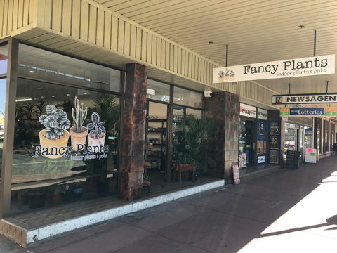 Fancy Plants - Kawana Tourism 1