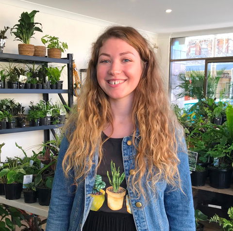 Fancy Plants - Kawana Tourism 2