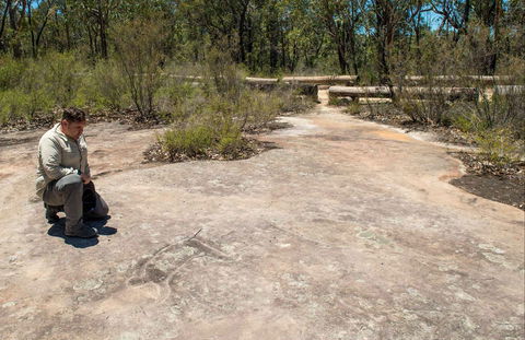 Finchley Cultural Walk - Kawana Tourism 0