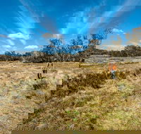 Goldseekers track - Kawana Tourism