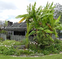 Gold Coast Historical Museum Inc - Kawana Tourism