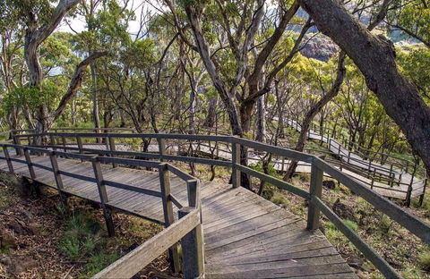 Governor Summit (Corrunbral Borawah) Walking Track - Kawana Tourism 0