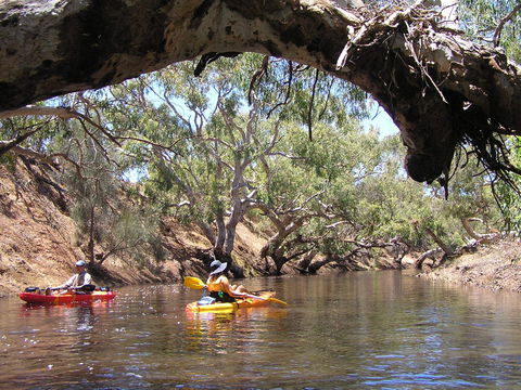 Greenough River Nature Trail - Kawana Tourism 1