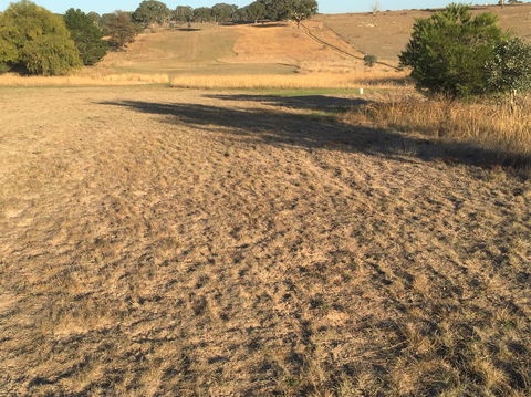 Gunning Golf Club - Kawana Tourism 0