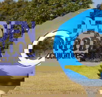 Hidden Rookwood Sculptures - Kawana Tourism