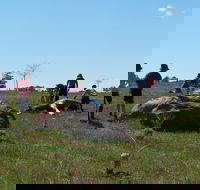 Jim Salmon  Wetland Education Site - Kawana Tourism