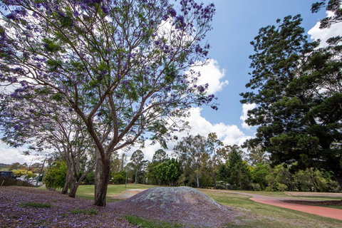 John Scott Park - Kawana Tourism 0