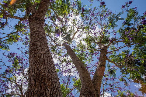 John Scott Park - Kawana Tourism 1