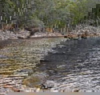 Lake Rowallan - Kawana Tourism