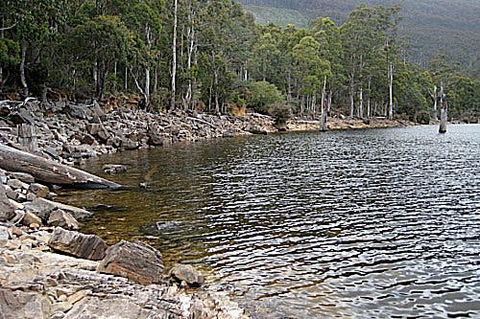 Lake Rowallan - Kawana Tourism 1