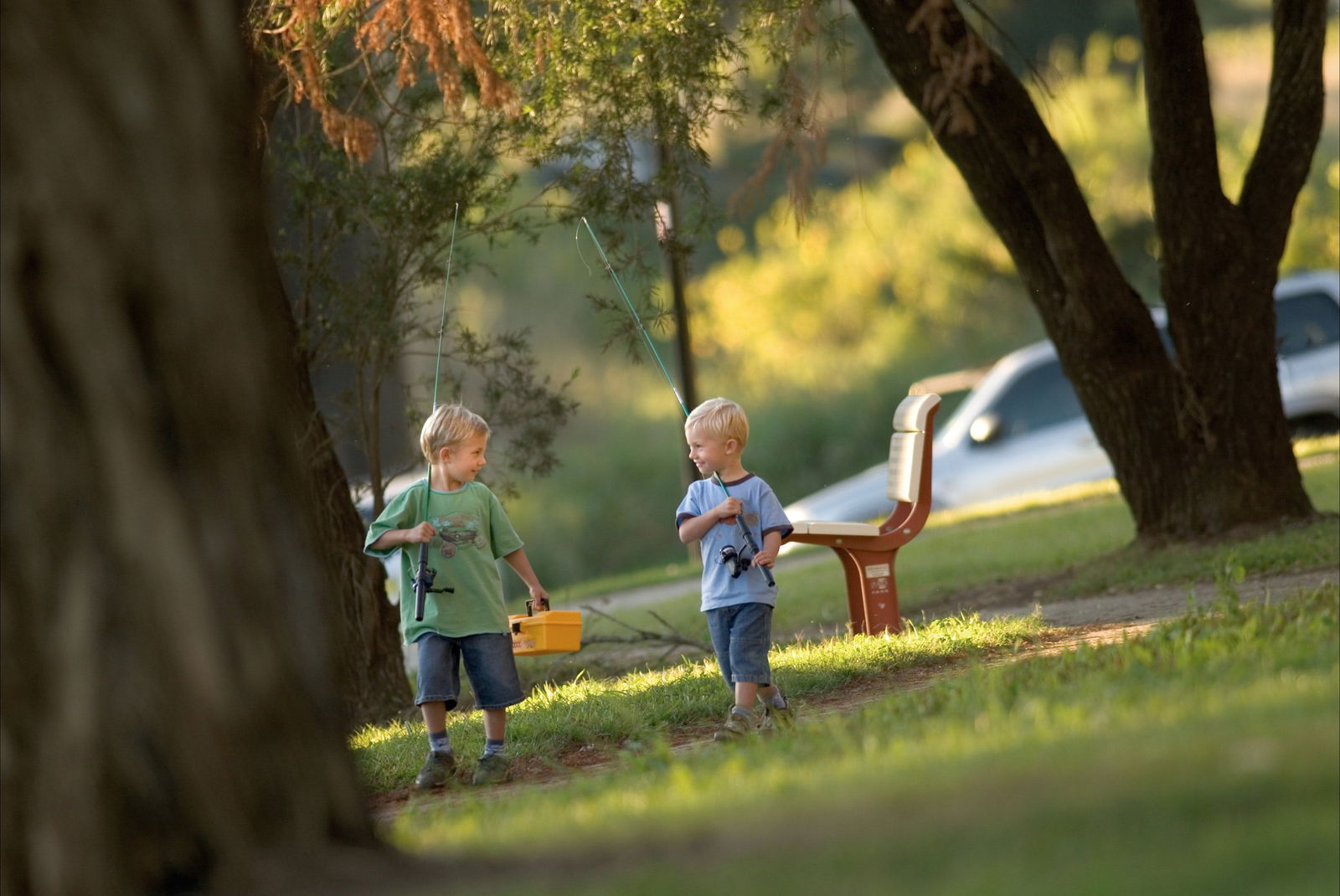 Loftville NSW Kawana Tourism