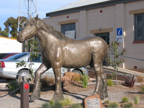 Maitland - Kawana Tourism 0