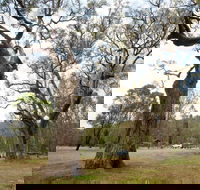Moolarben Picnic Area - Kawana Tourism