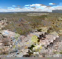 Munghorn Gap Nature Reserve - Kawana Tourism