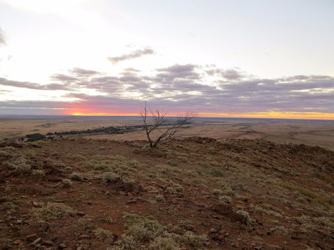 Mundi Mundi Plains - Kawana Tourism 0