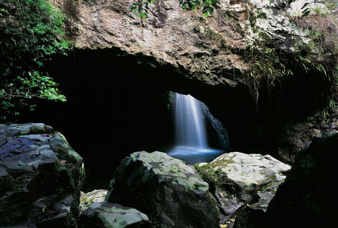 Natural Bridge Circuit, Springbrook National Park - Kawana Tourism 0