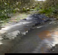 Nymboi-Binderay National Park - Kawana Tourism