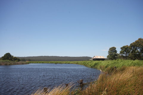 Panboola Wetlands - Kawana Tourism 0