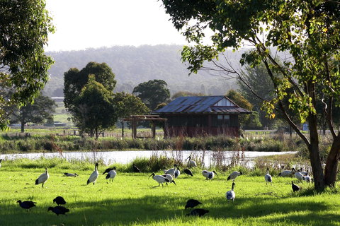 Panboola Wetlands - Kawana Tourism 1