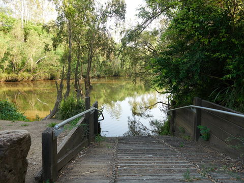 Shapcott Park - Kawana Tourism 0