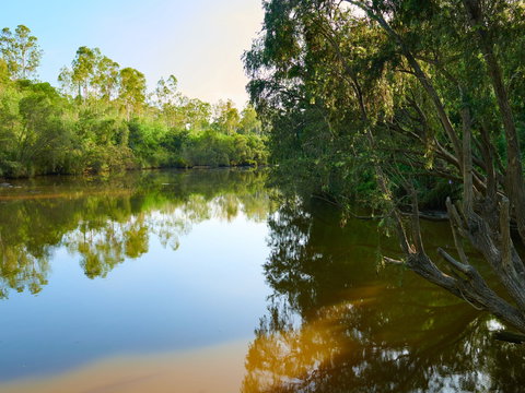 Shapcott Park - Kawana Tourism 1