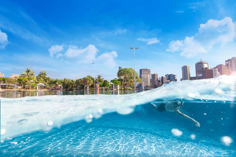 Streets Beach - Kawana Tourism 1