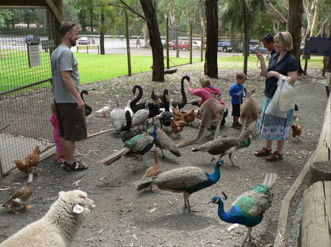 The Big Rocking Horse And The Toy Factory - Kawana Tourism 2