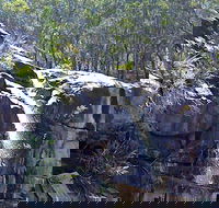 Ugly Corner Falls Walking Track - Kawana Tourism