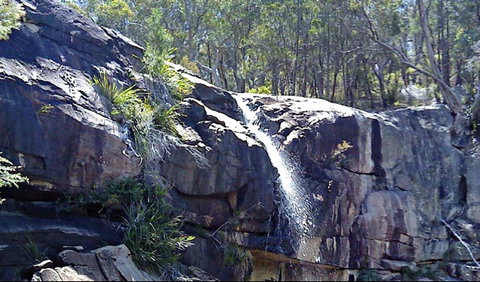 Ugly Corner Falls Walking Track - Kawana Tourism 0