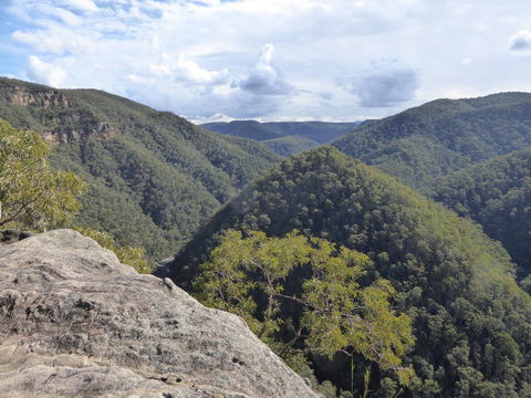 Vale Of Avoca - Kawana Tourism 0