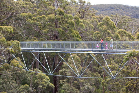 Walpole Wilderness Discovery Centre - Kawana Tourism 1