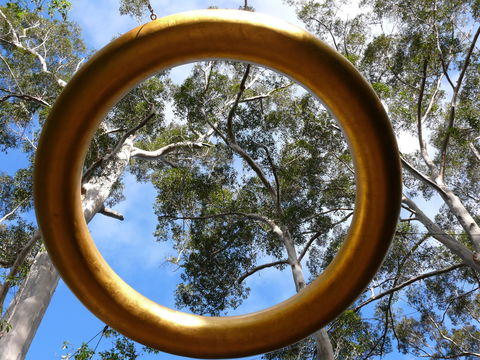 Walpole Wilderness Discovery Centre - Kawana Tourism 2