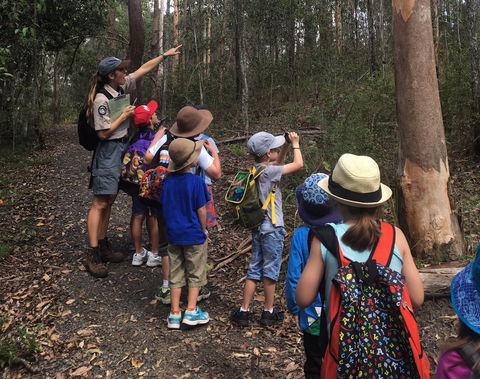 Walkabout Creek Discovery Centre - Kawana Tourism 1