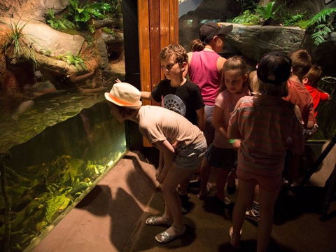 Walkabout Creek Discovery Centre - Kawana Tourism 2