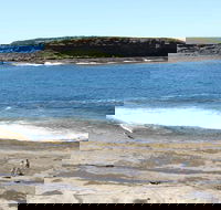 Wasp Head Picnic Area - Kawana Tourism