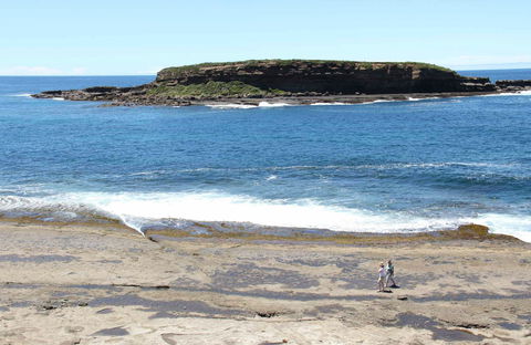 Wasp Head Picnic Area - Kawana Tourism 0