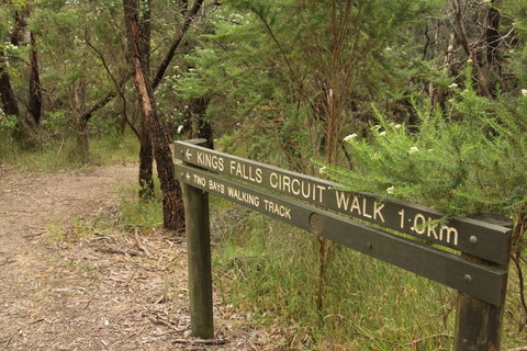 Waterfall Gully - Kings Falls Circuit Walk - Kawana Tourism 0