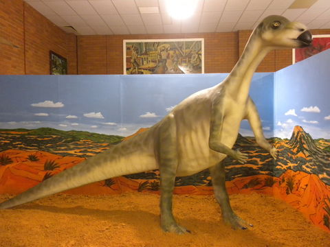 Wentworth Pioneer Museum - Kawana Tourism 1