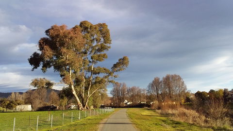 Adelong Falls Walk - Kawana Tourism 0