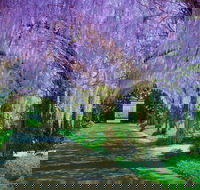 Alowyn Gardens and Nursery - Kawana Tourism