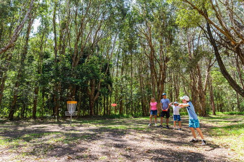 Ballina Disc Golf - Kawana Tourism 0