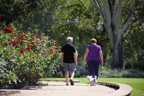 Benalla Botanical Gardens - Kawana Tourism 1