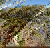 Boonoo Boonoo Falls picnic area - Kawana Tourism