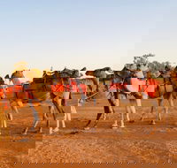 Broken Hill Camels - Kawana Tourism