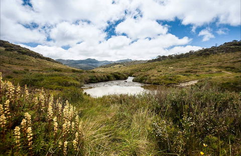 Cascade Hut Trail - Kawana Tourism 0