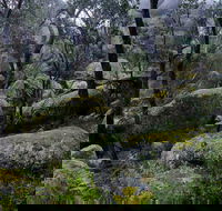 Cathedral Rock Track - Kawana Tourism
