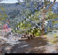 Caves circuit Lamington National Park - Kawana Tourism