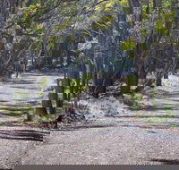 Coolah Tops National Park