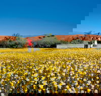 Coorow Farm Wildflower Trail - Kawana Tourism