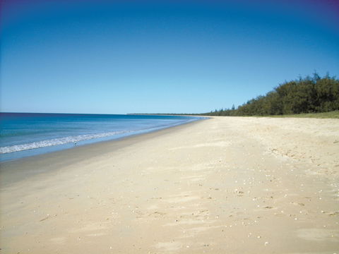 Coral Coast Pathways (Woodgate Beach Section) - Kawana Tourism 0